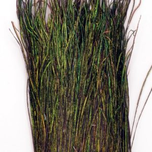 Påfågel Herl