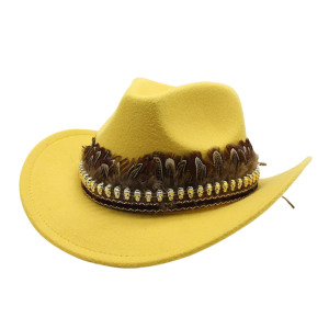 Cowboyhatt i filt med fjäderdekoration
