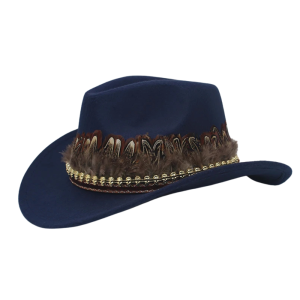 Fjäderdekorerad filt cowboyhatt