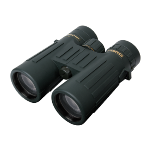 Steiner Observer