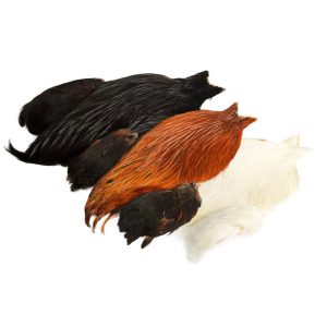 Whiting 4B´s Rooster Cape