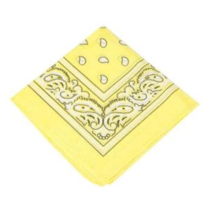 Bandana Gul