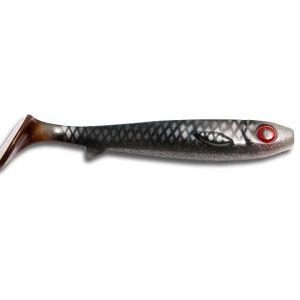 Flatnose Shad
